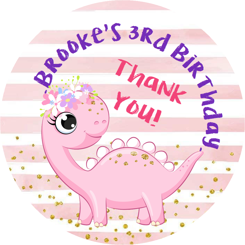 Party Favors Cute Pink and White Baby Girl Dinosaur Personalized Birthday Round  Stickers  Supplies Labels