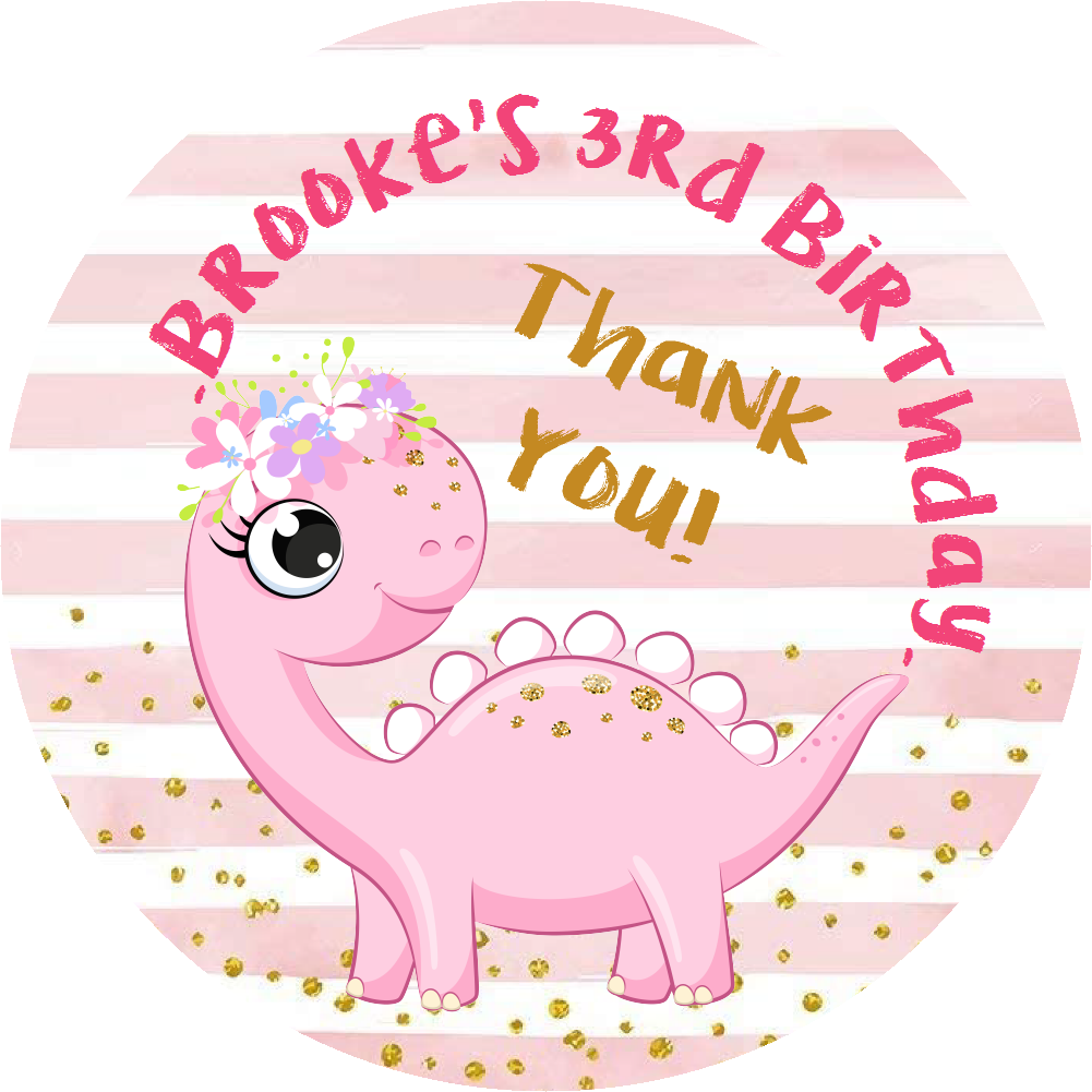 Party Favors Cute Pink and White Baby Girl Dinosaur Personalized Birthday Round  Stickers  Supplies Labels